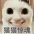 买球平台官方